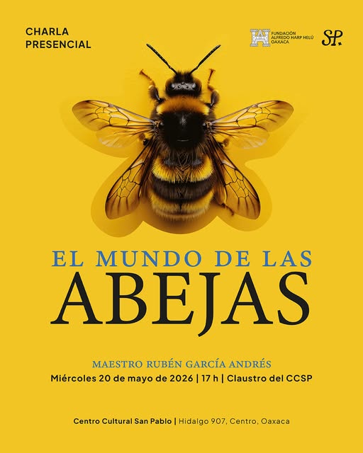 Charla El mundo de las abejas en Oaxaca 2026 | Evento gratis en San Pablo